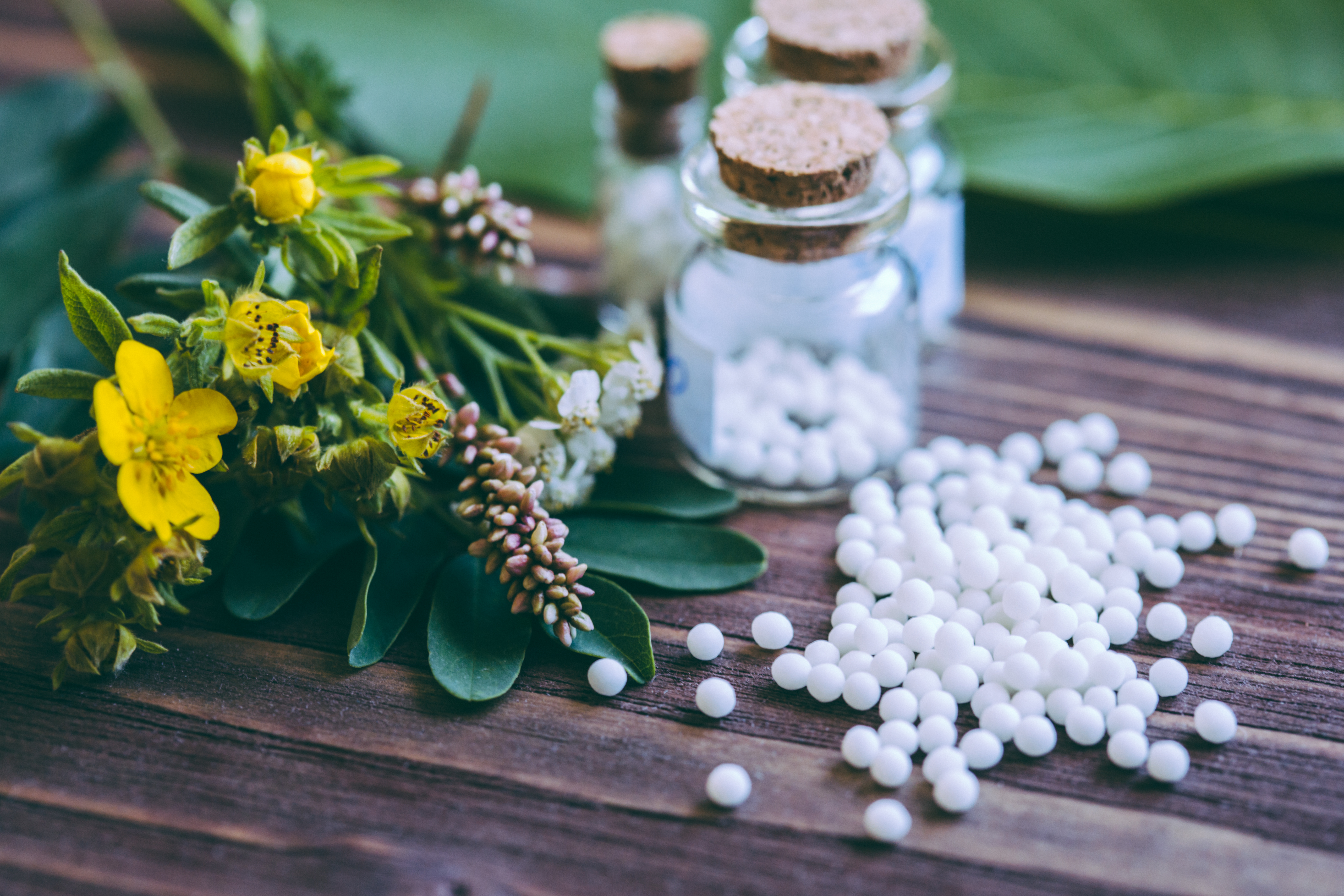 Homöopathie Care Potentials